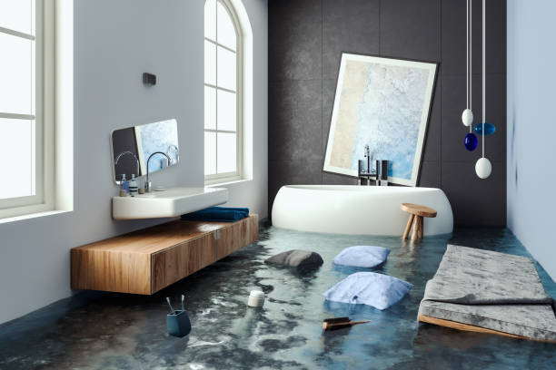 Best Water damage restoration near me  in Emmetsburg, IA