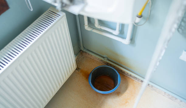 Best Professional water damage repair  in Emmetsburg, IA