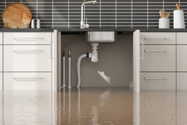 Best Local water damage restoration  in Emmetsburg, IA