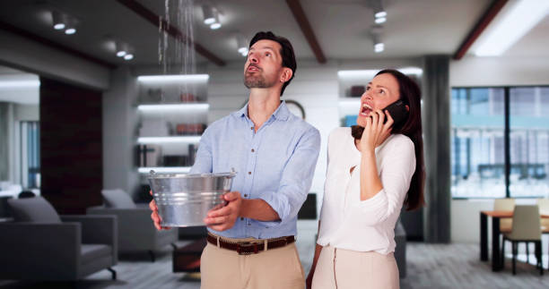 Best Water damage cleanup near me  in Emmetsburg, IA
